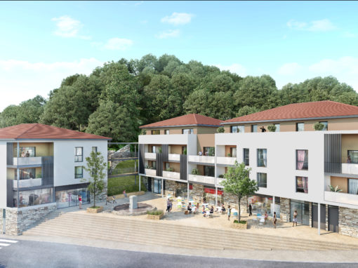 LOCAUX D’ACTIVITE – CHASSE SUR RHONE