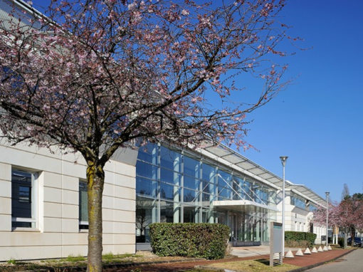A vendre et à louer – BUREAUX – Bron – 4 000 m²