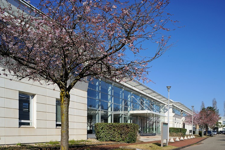 BUREAUX A VENDRE A LOUER – BRON
