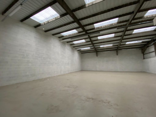 LOCAL ACTIVITES A LOUER MEYZIEU 292 m2